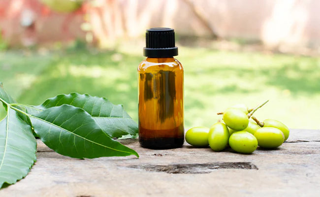 The Power of Neem Oil: Benefits for Mature Skin – Mitchell Brands